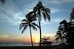 el cordova hotel on coronado island