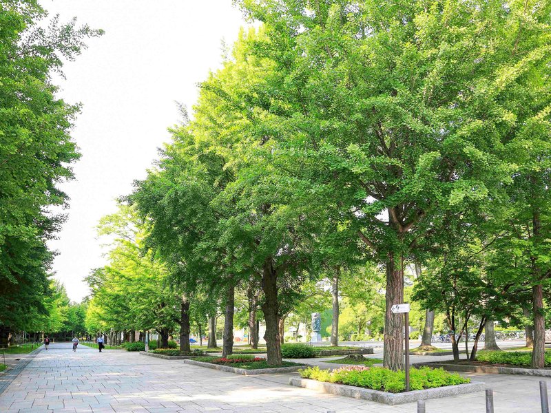 mercure sapporo