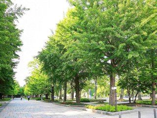 mercure sapporo