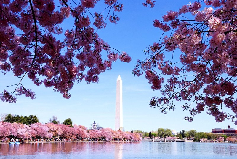 the westin washington d c city center