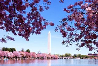 the westin washington d c city center