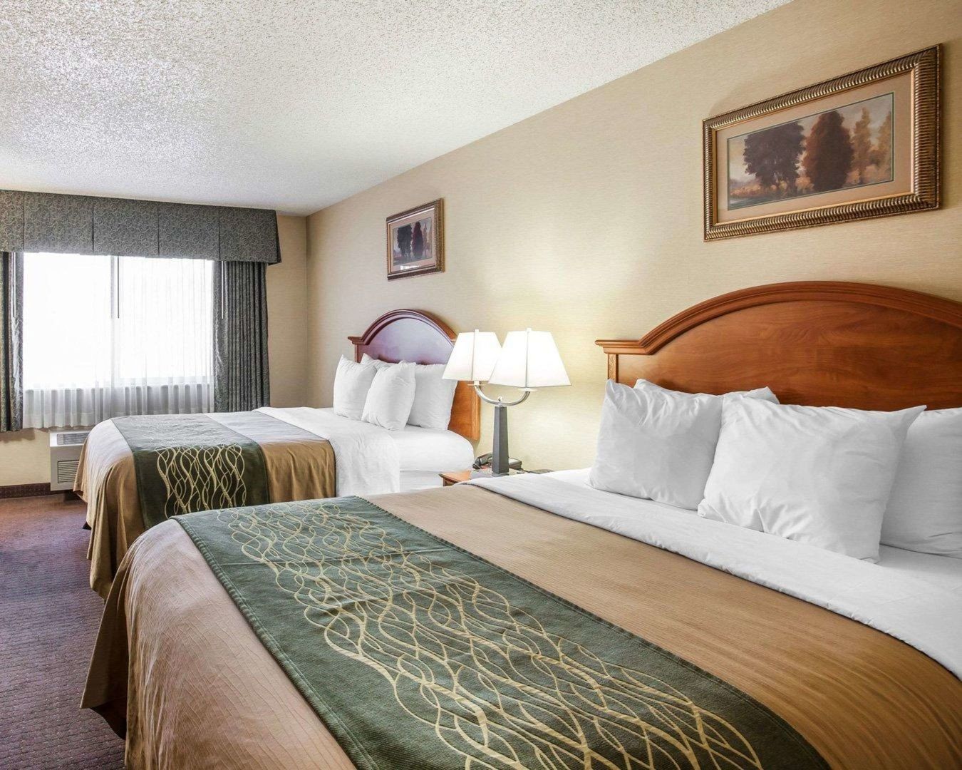 comfort inn and suites bothell seattle north