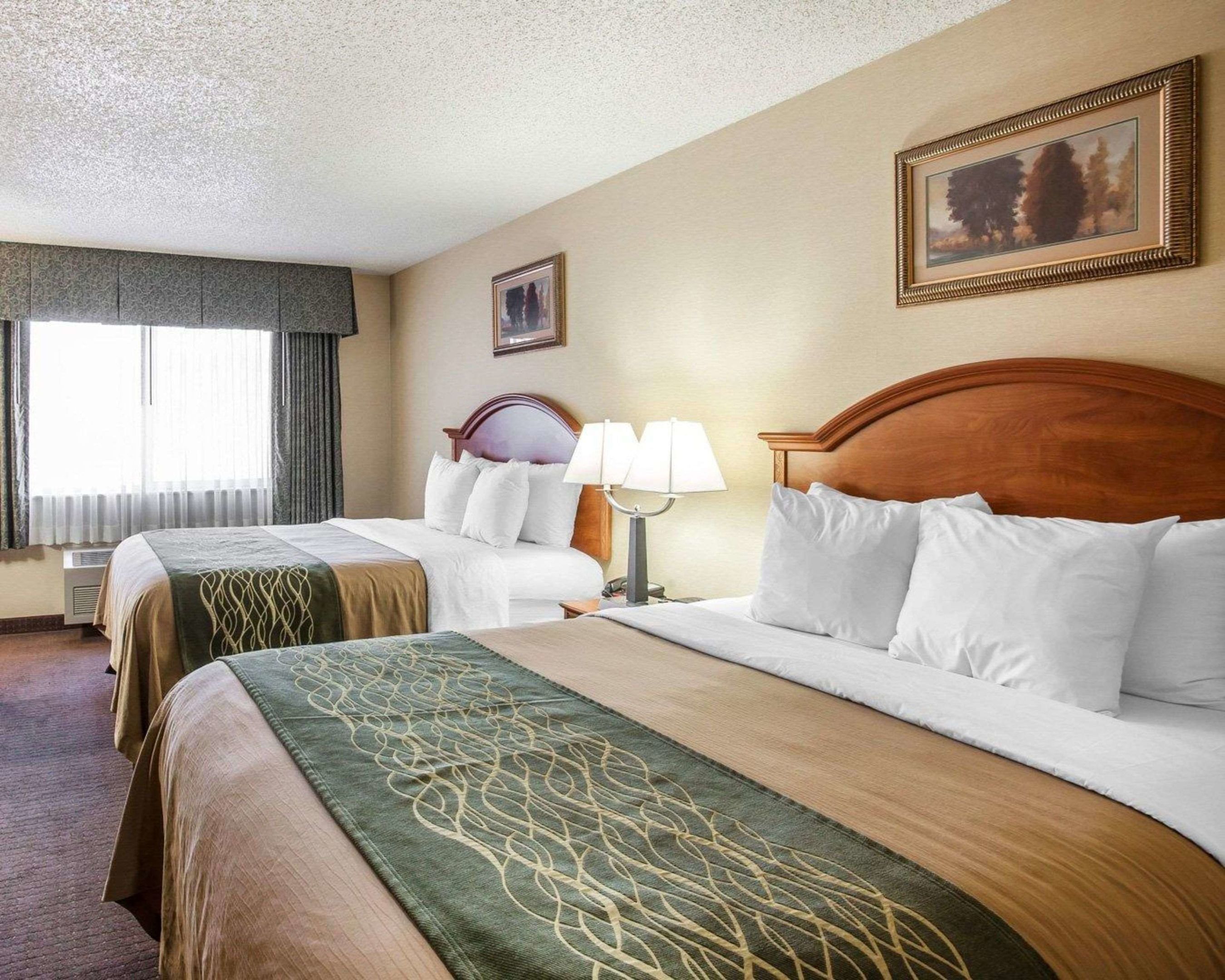 comfort inn and suites bothell seattle north