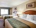 comfort inn and suites bothell seattle north