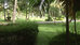 wyndham alltra samana all inclusive resort