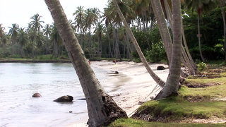 wyndham alltra samana all inclusive resort