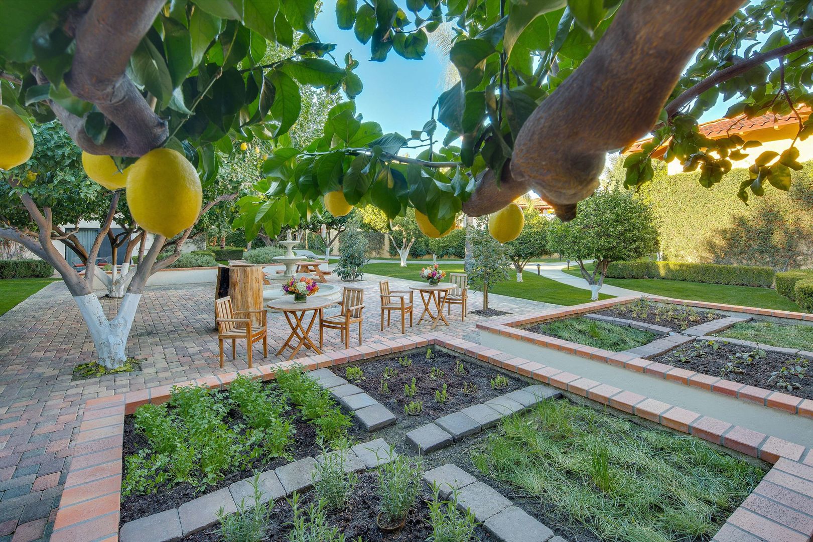 tommy bahama miramonte resort and spa