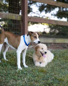 hotel preston nashville airport