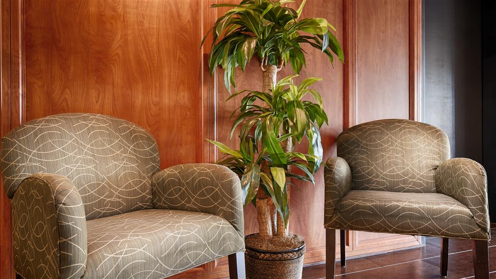 best western plus gilbert mesa