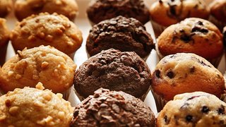 best western plus gilbert mesa