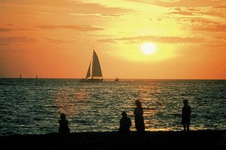 the beachcomber