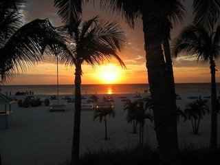 the beachcomber