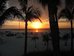 the beachcomber