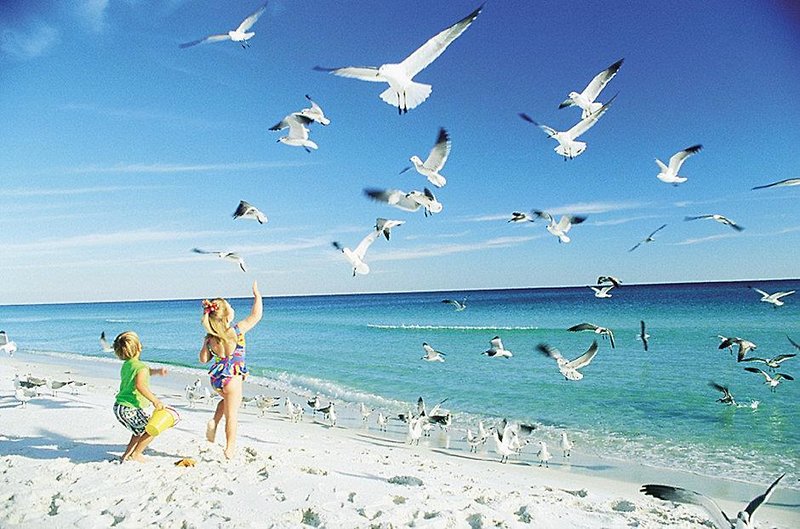 the beachcomber
