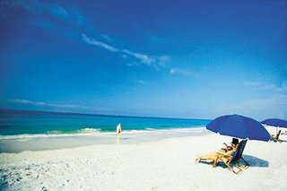 the beachcomber