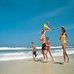 the beachcomber