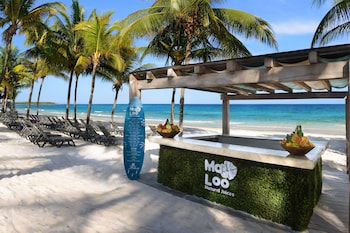 catalonia royal tulum adults only