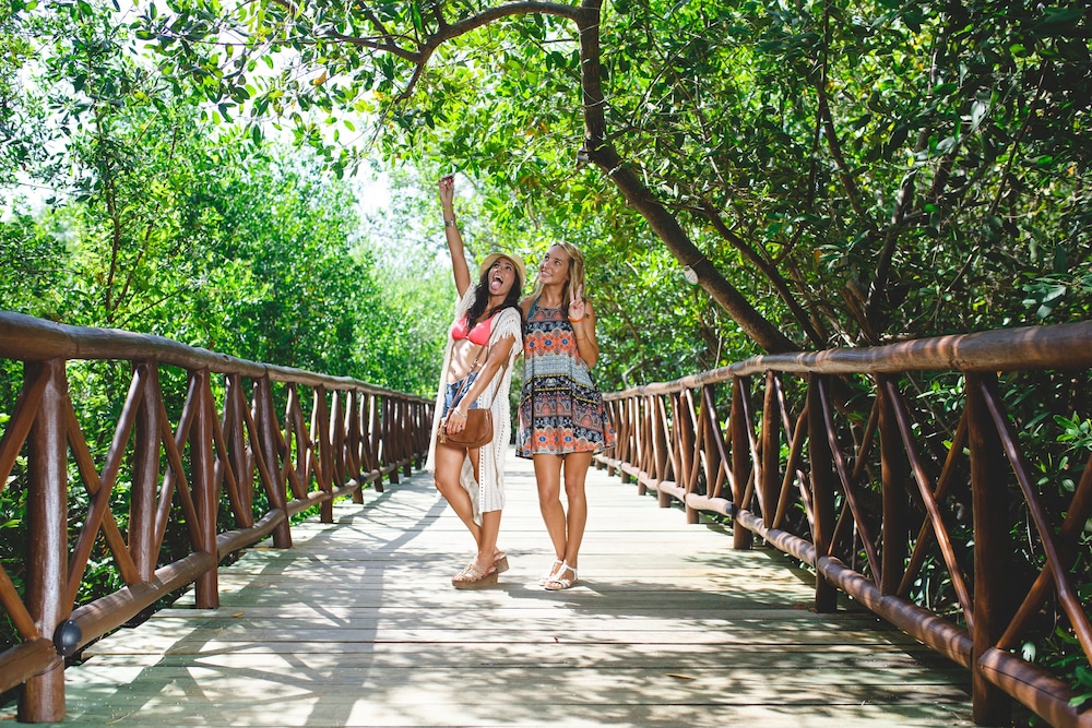 catalonia royal tulum adults only