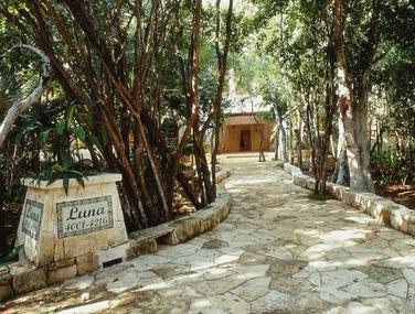 catalonia royal tulum adults only