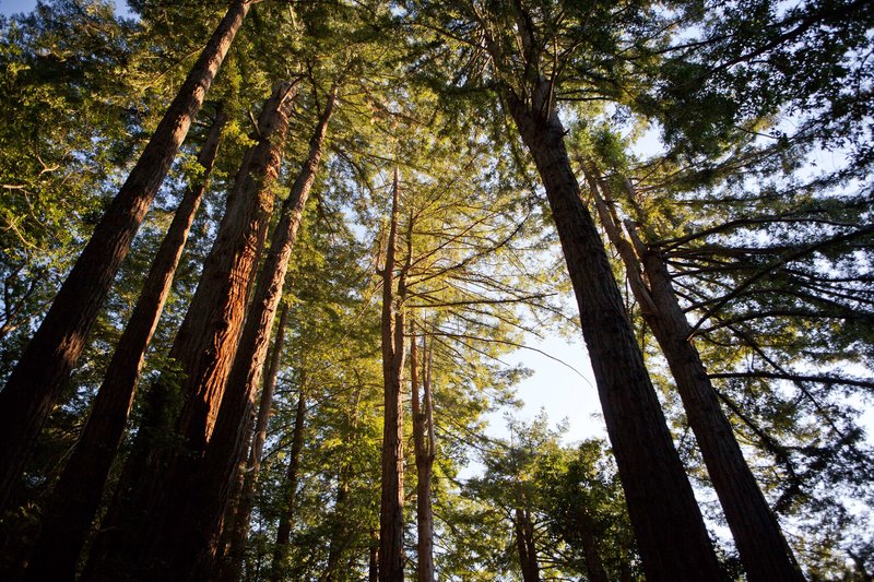 alila ventana big sur all inclusive adults only