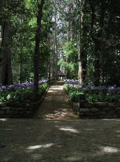 bio hotel hotel quinta da serra