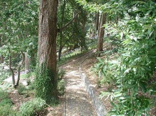 bio hotel hotel quinta da serra