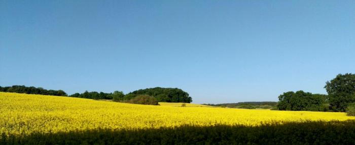hotel nordischer hof