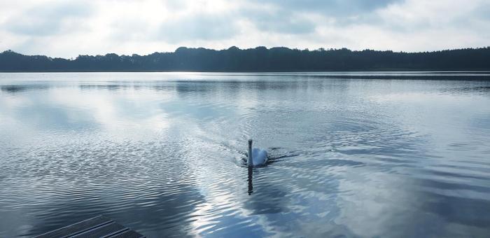 hotel nordischer hof