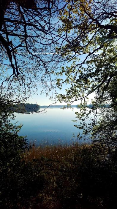 hotel nordischer hof