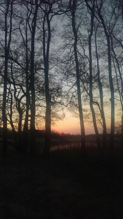 hotel nordischer hof