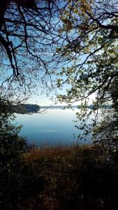 hotel nordischer hof