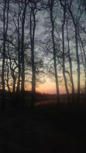 hotel nordischer hof