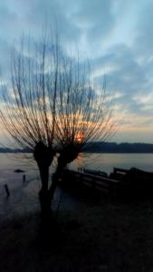 hotel nordischer hof