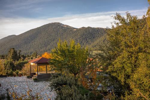 distomo arachova antikyra