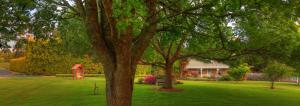 Rosebank Cottage Collection,Smithton>>Forest,4 star