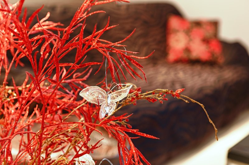 stella paradise by checkin adults only