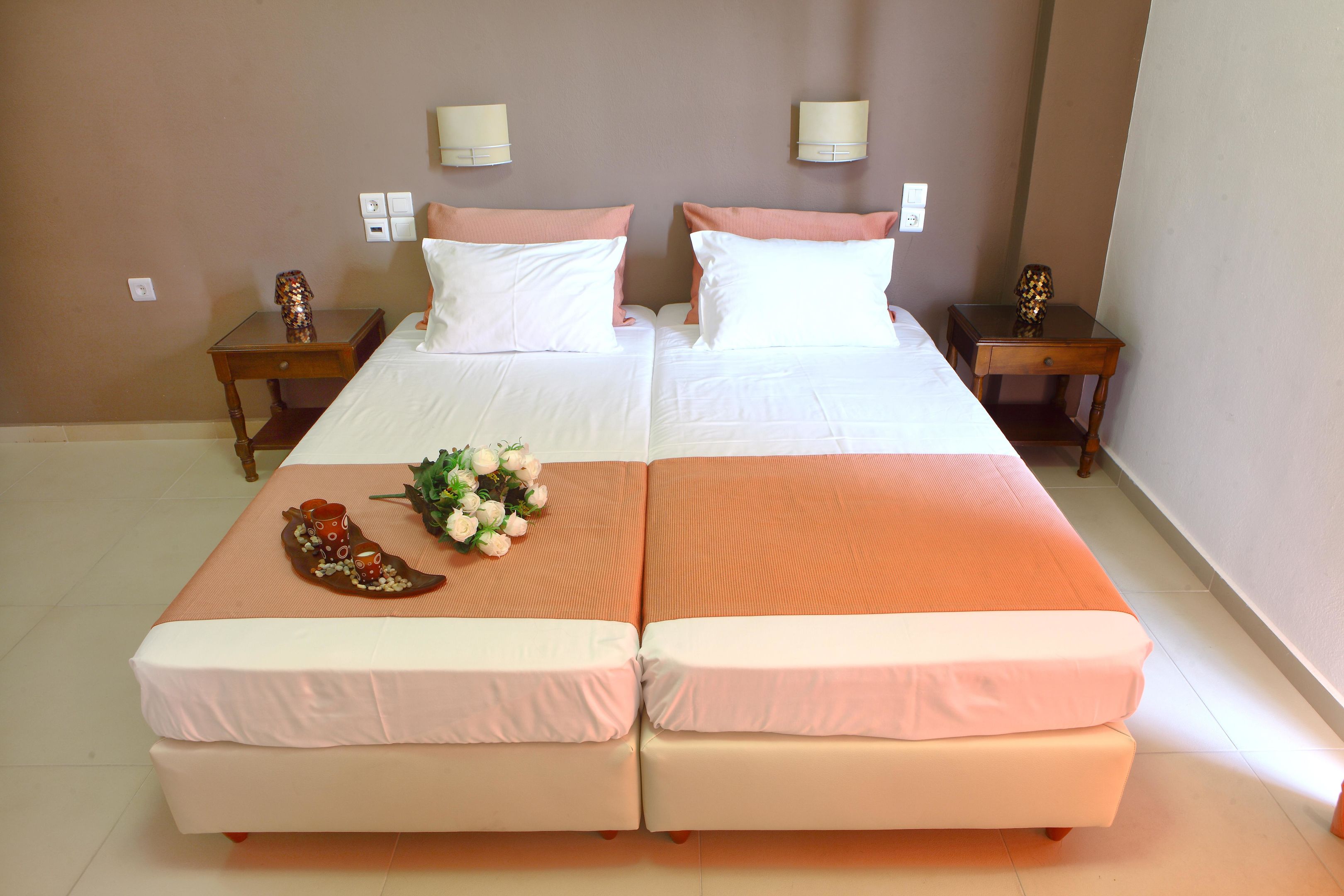 stella paradise by checkin adults only