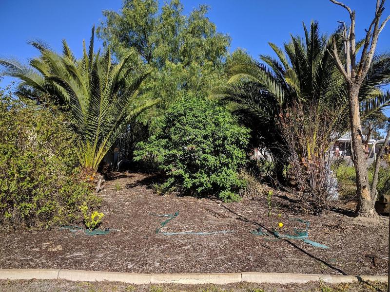 travellers inn kaniva