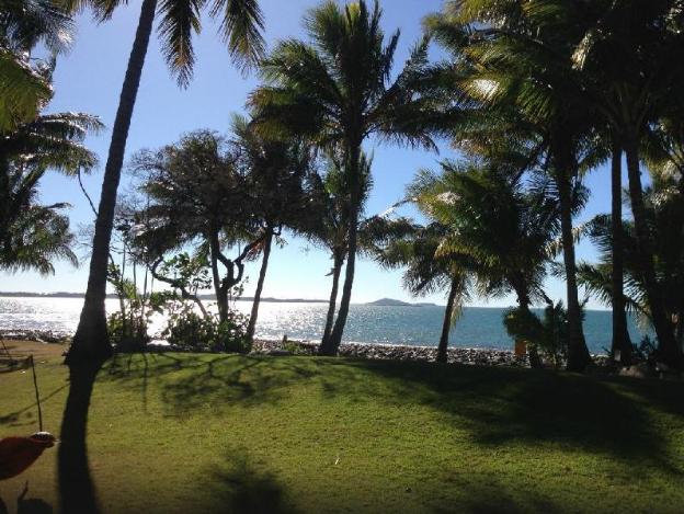 the resort dolphin heads