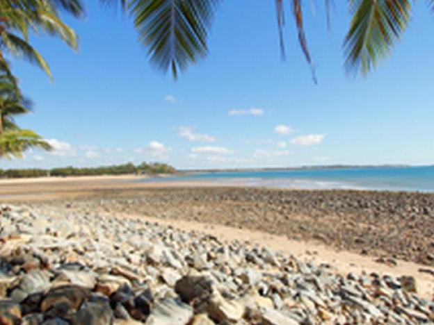 the resort dolphin heads