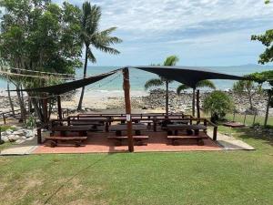 the resort dolphin heads