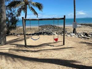 the resort dolphin heads