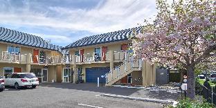 apollo motel christchurch