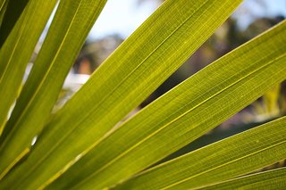 Fairway Motor Inn,New South Wales>>Merimbula,4 star