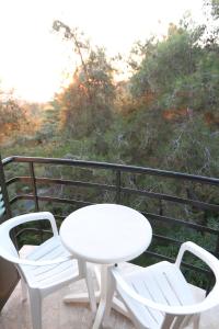 forest park hotel