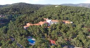 Forest Park Hotel,Near Millomeris Waterfalls,4 star