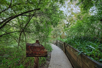 Hunchy Hideaway,Coolabine>>Caloundra,5 star