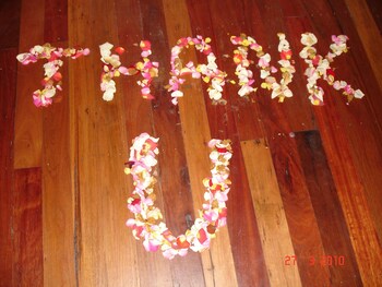 Hunchy Hideaway,Coolabine>>Caloundra,5 star