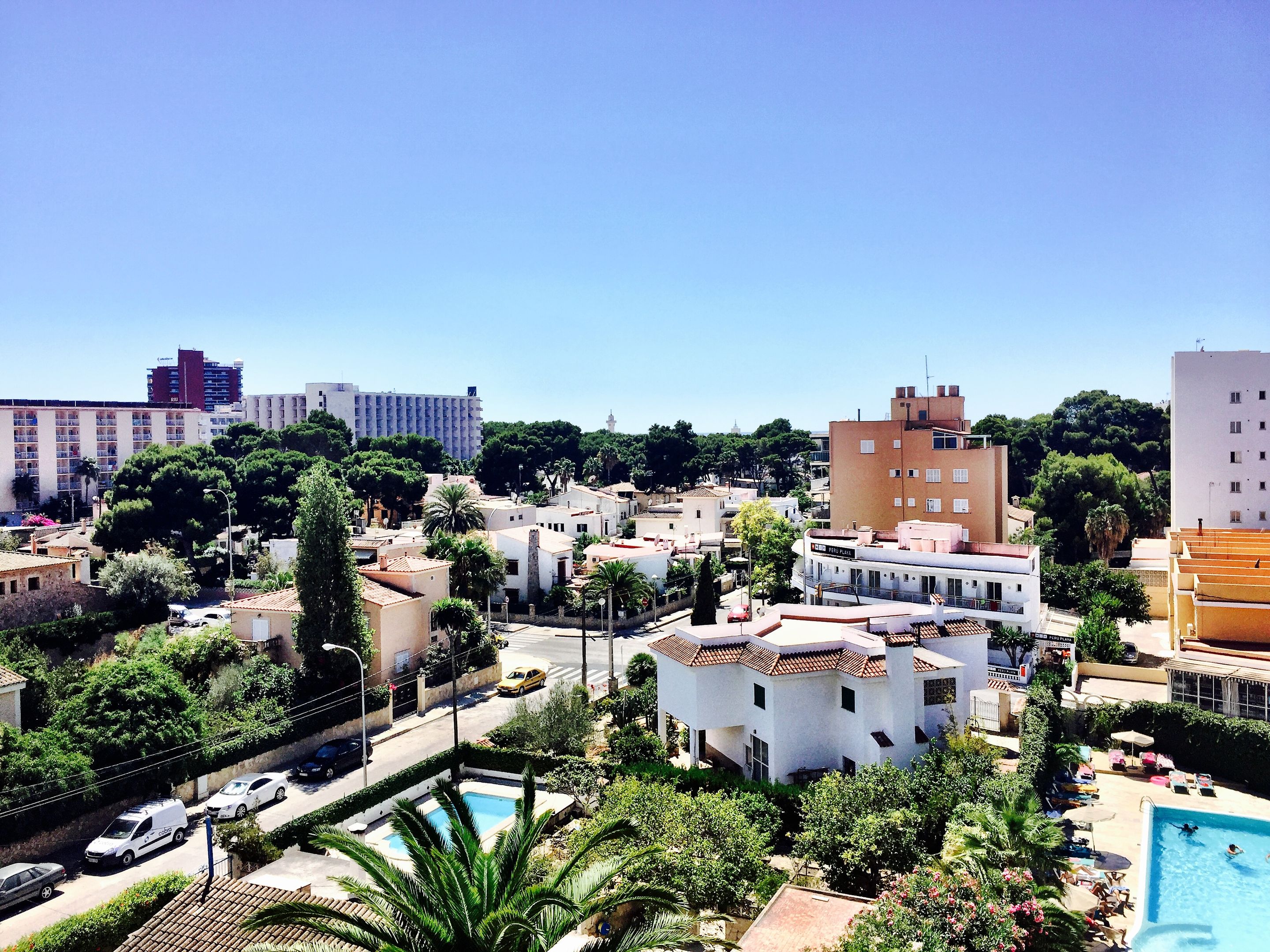palma de mallorca
