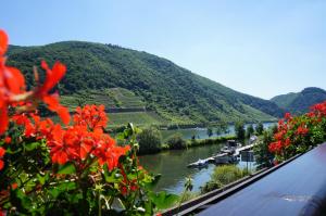 Hotel Traube,Near Thurant Castle,3 star